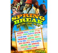 Spring Break 2011