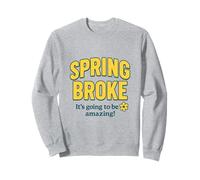 Spring Broke - Économie Amusante de Vacances de Printemps Sweatshirt