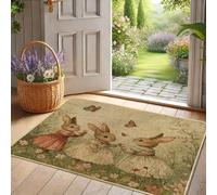 Spring Bunny Paillasson beige pour décoration extérieure et intérieure, antidérapant, imperméable, piège à poussière, facile à nettoyer, 73,7 x 43,2 cm