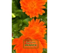 Spring Colors - Orange Notebook: Special Notice Book To Memorize, Draw, Write, Sketch, Paint And Freeze In Pictures All Beautiful Moments Of Spring In Orange