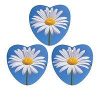 Spring Daisy Lot de 3 désodorisants à suspendre pour voiture, maison, bureau, style blanc