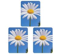 Spring Daisy Lot de 3 désodorisants carrés à suspendre pour voiture, maison, bureau, style blanc