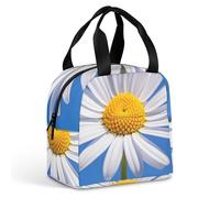 Spring Daisy Sac à déjeuner pour homme et femme, sac fourre-tout isotherme portable avec poignée, étanche, réutilisable, pour le travail, le pique-nique, les voyages
