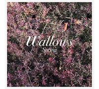 SPRING EP [LP] (PINK AND GREEN COLORED VINYL) [Analog]