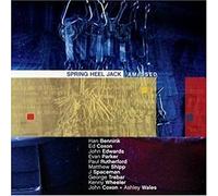 Spring Heel Jack - Amassed (Feat. J Spaceman)