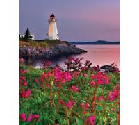 Springbok Lighthouse at Sunset - 1000 Piece Puzzle*