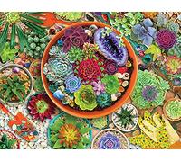 Springbok Puzzle de 1000 pièces - Jardin succulent - Fabriqué aux États-Unis