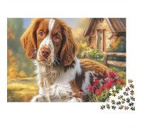 Springer Spaniel Carton Springer Spaniel dans Un Jardin ensoleillé avec des Fleurs Puzzle Classique Cadeau Secret de Noël de Collection 70x50cm/1000 pièces