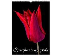 Springtime in my garden (Wall Calendar 2026 DIN A3 portrait), CALVENDO 12 Month Wall Calendar: Photo of my flowers