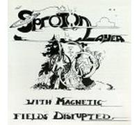 Sproton Layer - with Magnetic Fields