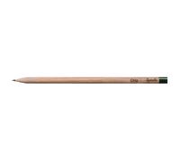 Sprout Crayon avec Capsule de Graines - Chia