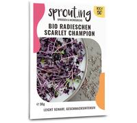 Sprout.ing Radis Bio Scarlet Champion - 30 g