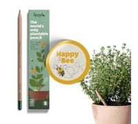 Sprout World Crayons à Planter Happy Bee Edition, Pack de 5 avec graines