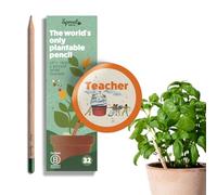 Sprout World Crayons à Planter Teacher Edition, Pack de 32 avec graines