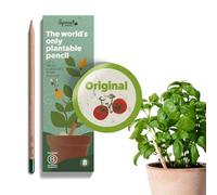 Sprout World Lot de 8 crayons à papier | en bois naturel bio non traité et mines sans plomb | crayons graphite pour plantes
