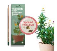 SproutWorld Crayons Spread The Love Edition, Pack de 8 pour école et bureau