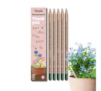 SproutWorld Crayons | Thank You Edition | Crayons à planter avec graines de fleurs | Cadeau durable pour dire merci | Lot de 5 | Bois écologique