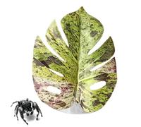 Sprspin Feuille Décoration réaliste en forme de feuille avec ventouse | Sprspin Accessoires Pour Plantes De Serre Terrarium Tapis De Culture Oeuf De Propagation Hydroponique Intérieur Zoo Oiseau