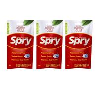 Spry On The Go - Chewing-Gum Naturel au Xylitol - Système de Défense Dentaire - Sans Aspartame, Sans Sucre, Sans OGM (Cinnamon, 55 Count - Pack of 3)