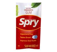 Spry On The Go - Chewing-Gum Naturel au Xylitol - Système de Défense Dentaire - Sans Aspartame, Sans Sucre, Sans OGM (Cinnamon, 55 Count - Pack of 1)