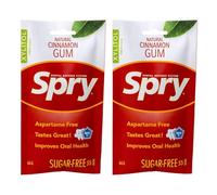 Spry On The Go - Chewing-Gum Naturel au Xylitol - Système de Défense Dentaire - Sans Aspartame, Sans Sucre, Sans OGM (Cinnamon, 55 Count - Pack of 2)