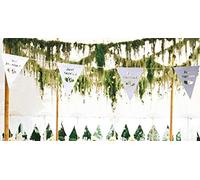 SPSS Mariage Guirlande Just Married fanions 3m, Blanc