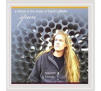 Spun-a Tribute to The Music of David Lamotte