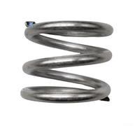 SPX0603S Ressort de filtre de piscine multiport pour valves Hayward Pro Series, Vari-Flo & Super - Ressort de tension en acier inoxydable, remplacement OEM P