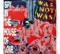 Spy in The House of Love (1987) [Import]