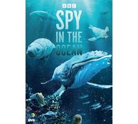 Spy In The Ocean