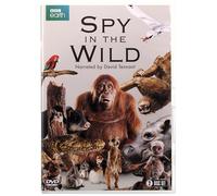 Spy in The Wild (2 DVD) [Edizione: Regno Unito] [Import]