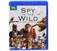 Spy in the Wild (BBC) (Blu-ray) David Tennant