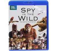 Spy in the Wild - Blu-ray - F600z