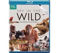 Spy in The Wild (2 Blu-Ray) [Edizione: Regno Unito] [Import]