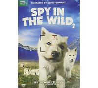 Spy in The Wild: Part 2 [Edizione: Stati Uniti] [Import]
