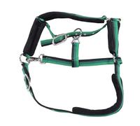 SPYMINNPOO Halter à Cheval rembourré, Licou à Cheval en Nylon Robuste Réglable avec Conception Ergonomique pour l'entraînement et la Manipulation, Construction Durable, Entretien Facile, (M 300 ML