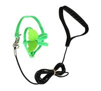 SPYMINNPOO Harnais pour Oiseaux de Compagnie, Laisse, Corde de Traction Extensible de qualité Supérieure, pour Conures, Inséparables, Calopsittes et Plus, 6,6 Pieds, pour la Marche des Oiseaux
