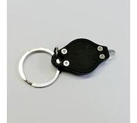 SPYMINNPOO Lampe de Poche Porte-clés, Lampe Porte-clés UV Compacte en PP avec Batterie CR2016 pour l'inspection des Hôtels et le Contrôle de sécurité (BLACK)