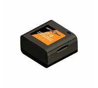 Spypoint Batterie lithium rechargeable LIT-10 avec chargeur pour Micro-Link et Cell-Link Noir