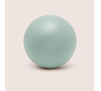 SPYQKHSH Mini Ballons d'exercice, Ballon de Yoga Pilates, for la stabilité, l'entraînement, la Barre de Yoga, l'entraînement de Base et la physiothérapie - Livré avec Une Paille Gonflable(D)