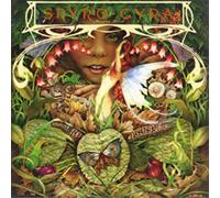 Spyro Gyra - Morning Dance