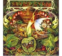 Spyro Gyra - Morning Dance