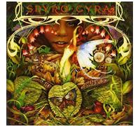 Spyro Gyra - Morning Dance [Import]