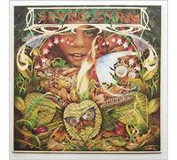 Spyro Gyra - morning dance LP