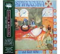 Spyro Gyra - Old Boot Wine-Jap Card [Import]