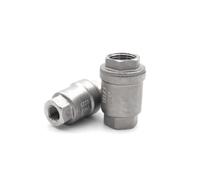 SQGGMOAUSC 1 clapet anti-retour à ressort vertical en acier inoxydable BSPT SS304SS316 DN8 DN10 DN15 DN20 DN25 (5,1 cm, SS316L)