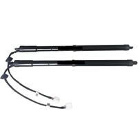 SQIFBA Vérin Gaz Hayon Électrique Ensemble D'amortisseurs De Hayon Électrique 904520316R pour Koleos 2 2016 2017 2018 2019 2020 2021 Electric Tailgate Strut(Left and Right)