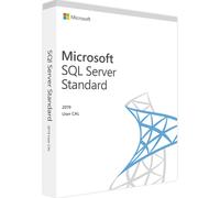 SQL Server 2019 Standard - 10 User CAL