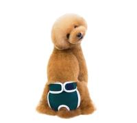 SQOYEI Moyen Petit Réutilisable Culotte Chiennes Chaleurs pour L'intérieur, Extérieur Respirant Culotte Menstruelle Chien Réglable Couches pour Chiens(Bleu,M)