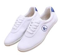 SQOYEI Toile Chaussures de Taekwondo Respirantes, Légères Amortissantes Chaussures Kung Fu pour Les étudiants, Les Adultes Antidérapantes Course à Pied Tennis(Bleu,40 EU)